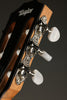 Taylor 214ce-N Nylon String Acoustic Electric Guitar - New