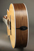 Taylor 214ce-N Nylon String Acoustic Electric Guitar - New