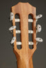 Taylor 214ce-N Nylon String Acoustic Electric Guitar - New