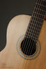 Kremona Sofia SC-T Classical Guitar - New