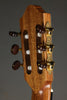 Kremona Fiesta F65CW-SB Nylon String Acoustic Electric Guitar - New