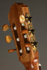 Kremona Rondo R65CWC Nylon String Acoustic-Electric Guitar - New