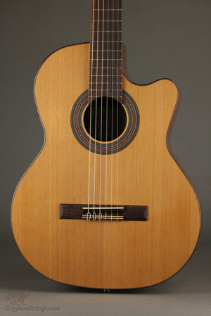 Martin Backpacker Acoustic Guitar New – Gryphon Strings