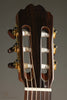 Kremona F65CW Nylon String Acoustic Electric Guitar - New