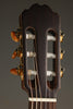 Kremona Sofia S63CW Nylon String Acoustic Electric Guitar - New