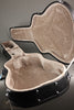 Kremona Lulo Reinhardt Kiano Acoustic Electric Nylon String Guitar - New