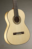 Kremona Rosa Lucia Flamanco Guitar - New