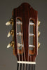 Kremona Rosa Lucia Flamanco Guitar - New