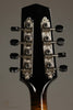 Northfield A5 Special NFMSP- A5 Cherryburst Gloss Mandolin - New