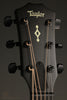 Taylor Builder's Edition 324ce Next-Gen Acoustic Electric Guitar - New