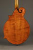 Northfield Big Mon NFB-F5IWN Amber Gloss Italian Spruce Wide Nut - New