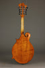 Northfield Big Mon NFB-F5IWN Amber Gloss Italian Spruce Wide Nut - New