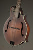 Eastman MDA315 Mandola - New
