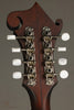 Eastman MDA315 Mandola - New