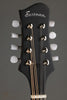 Eastman MD304 Mandolin - New