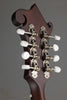 Eastman MD315 Mandolin - New