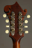 Eastman MD315 Wideneck Adirondack Amberburst F-Hole F-Style Mandolin - New