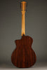 Taylor 254ce Plus Acoustic Electric 12-String Guitar - New