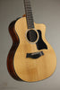 Taylor 254ce Plus Acoustic Electric 12-String Guitar - New