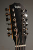 Taylor 254ce Plus Acoustic Electric 12-String Guitar - New