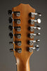 Taylor 254ce Plus Acoustic Electric 12-String Guitar - New