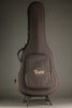 Taylor 254ce Plus Acoustic Electric 12-String Guitar - New