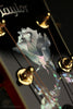 Taylor Doyle Dykes Signature Model Acoustic Electric Guitar - New