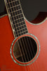 Taylor Doyle Dykes Signature Model Acoustic Electric Guitar - New