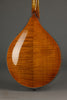 Northfield A4 Special NFMSP-A4 Amber Gloss Mandolin - New