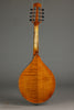 Northfield A4 Special NFMSP-A4 Amber Gloss Mandolin - New