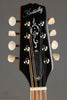 Kentucky KM-252 Mandolin - New