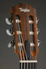 Taylor Academy 12e-N Nylon String Acoustic Electric Guitar - New