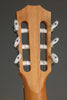 Taylor Academy 12e-N Nylon String Acoustic Electric Guitar - New