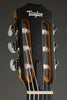 Taylor 214ce-N Nylon String Acoustic Electric Guitar - New