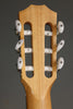 Taylor 214ce-N Nylon String Acoustic Electric Guitar - New