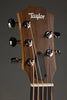 Taylor Jacob Collier GS Mini 5-String Steel String Acoustic Guitar - New