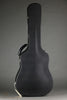 Collings D2H Old Growth Sitka Spruce Steel String Acoustic Guitar - New