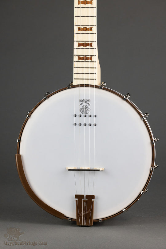 Deering Goodtime Acoustic/Electric 5-String Openback Banjo - New