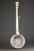 Deering Goodtime Acoustic/Electric 5-String Openback Banjo - New