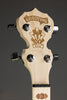 Deering Goodtime Acoustic/Electric 5-String Openback Banjo - New