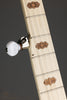 Deering Goodtime Acoustic/Electric 5-String Openback Banjo - New