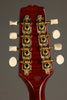 Kentucky KM-505 Mandolin - New
