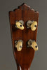 1933 Paramount Style D (made by Martin) Tenor Guitar Used