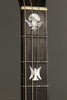 1933 Paramount Style D (made by Martin) Tenor Guitar Used