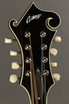 2017 Collings MF Deluxe Mandolin Used