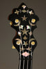 1894 S.S. Stewart Special Thoroughbred 5 String Used