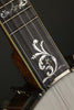 2001 Bob Flesher Grand Promenade 5 String Used