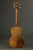 Martin T1K Tenor Ukulele New