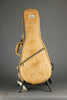 Kentucky KM-272 Mandolin - New