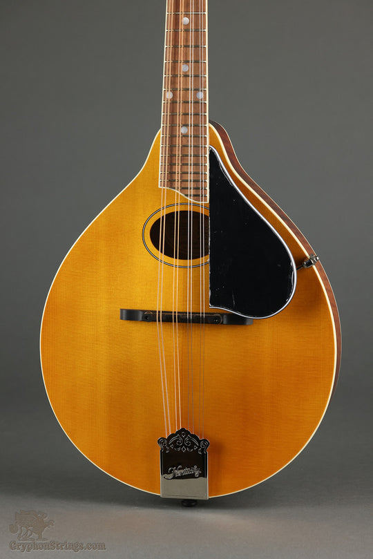 Kentucky KM-272 Mandolin - New